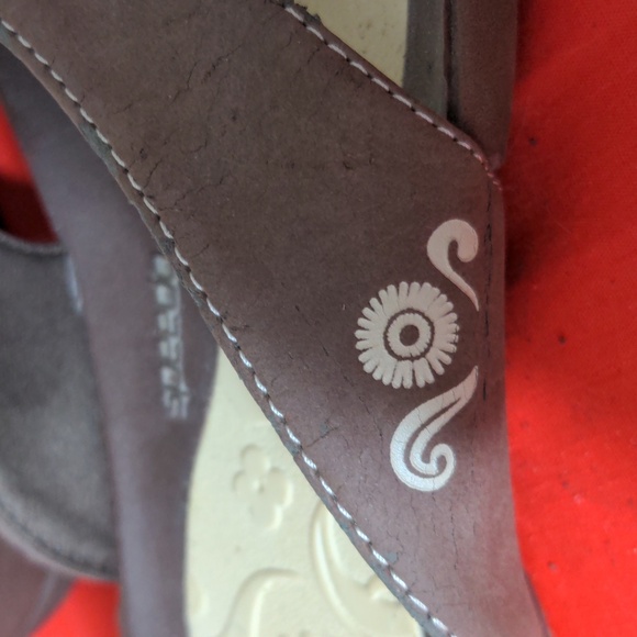 Speedo Slides - Picture 3 of 4